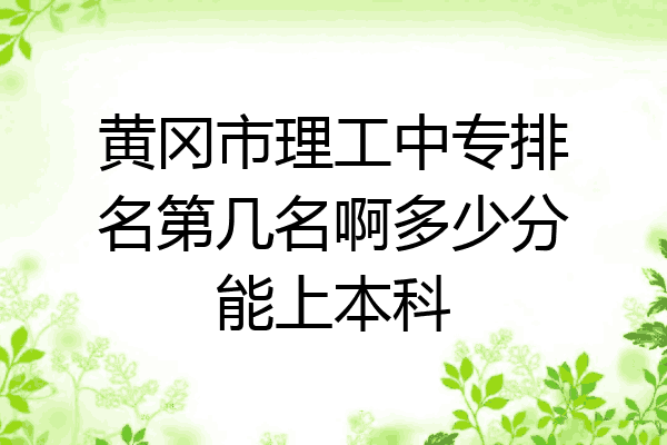 黄冈市理工中专排名第几名啊多少分能上本科