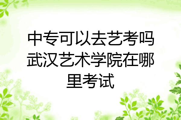 中专可以去艺考吗武汉艺术学院在哪里考试