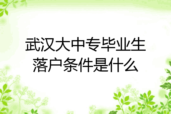 武汉大中专毕业生落户条件是什么