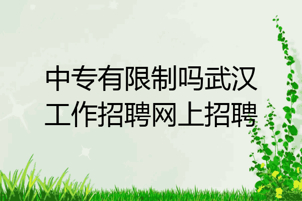 中专有限制吗武汉工作招聘网上招聘