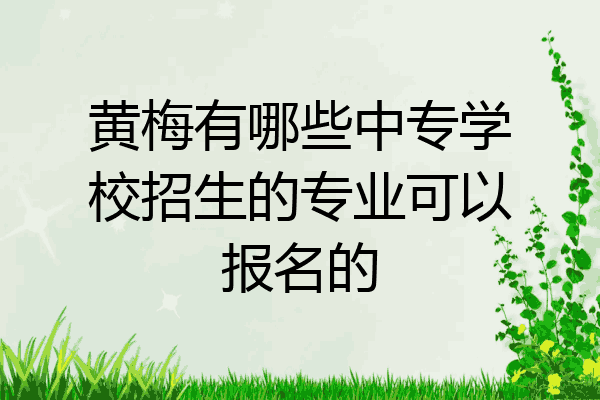 黄梅有哪些中专学校招生的专业可以报名的