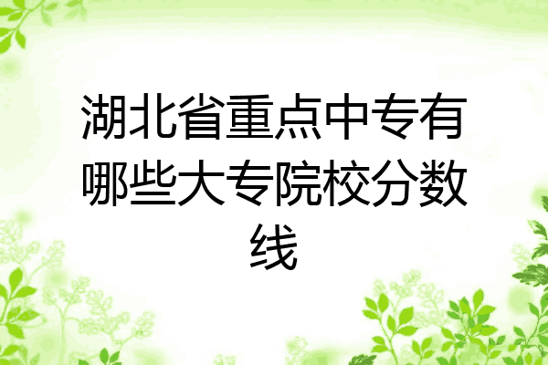 湖北省重点中专有哪些大专院校分数线