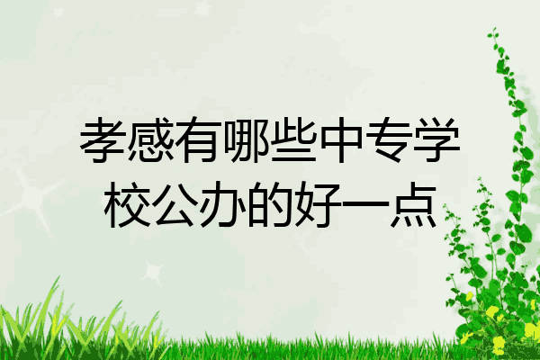 孝感有哪些中专学校公办的好一点