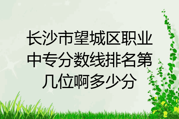 长沙市望城区职业中专分数线排名第几位啊多少分