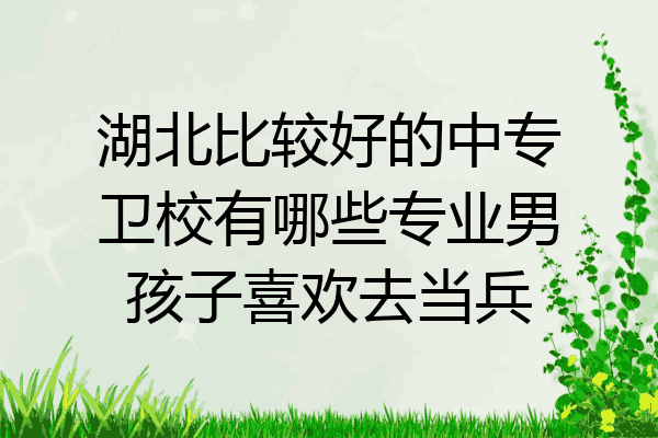湖北比较好的中专卫校有哪些专业男孩子喜欢去当兵
