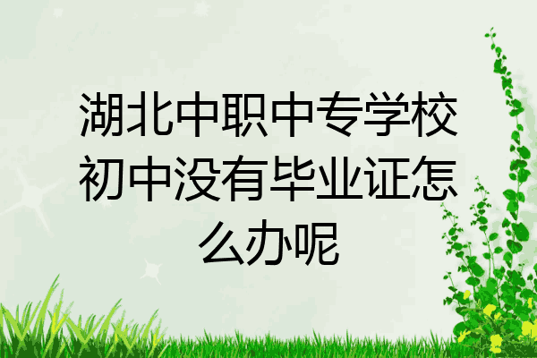 湖北中职中专学校初中没有毕业证怎么办呢