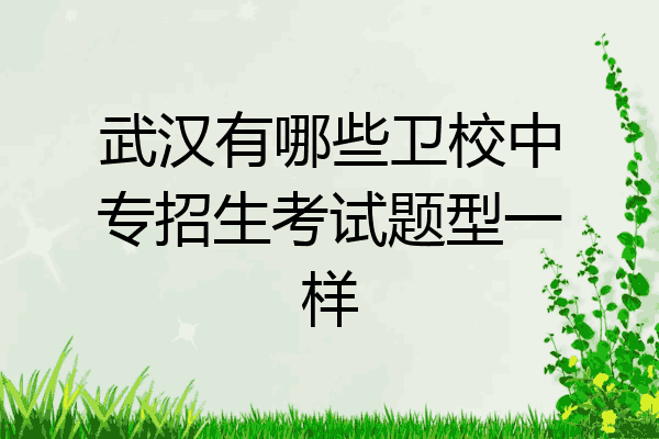 武汉有哪些卫校中专招生考试题型一样