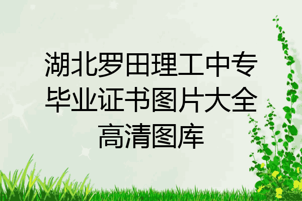 湖北罗田理工中专毕业证书图片大全高清图库