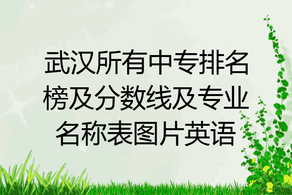 武汉所有中专排名榜及分数线及专业名称表图片英语