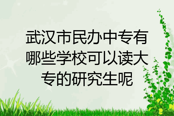 武汉市民办中专有哪些学校可以读大专的研究生呢