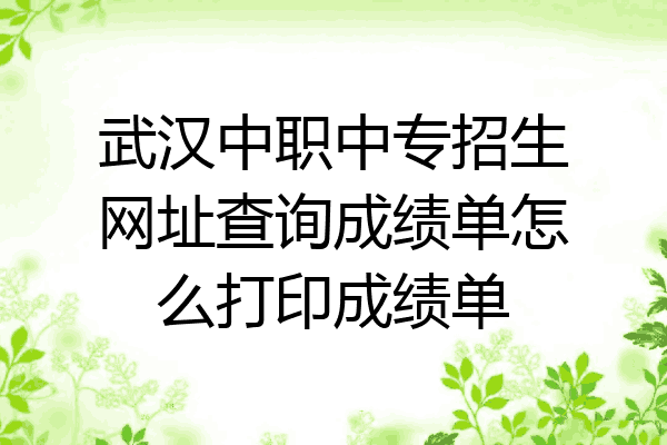 武汉中职中专招生网址查询成绩单怎么打印成绩单