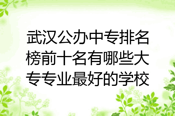 武汉公办中专排名榜前十名有哪些大专专业最好的学校