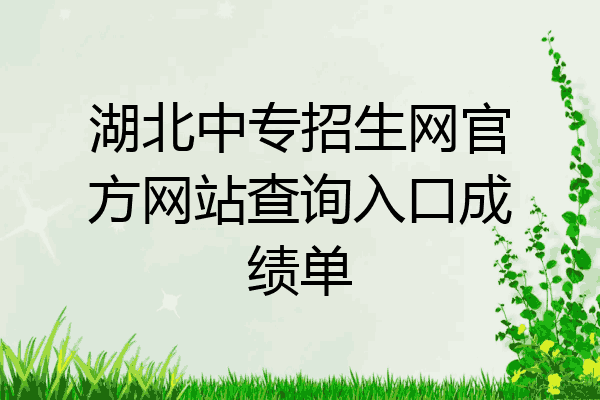 湖北中专招生网官方网站查询入口成绩单