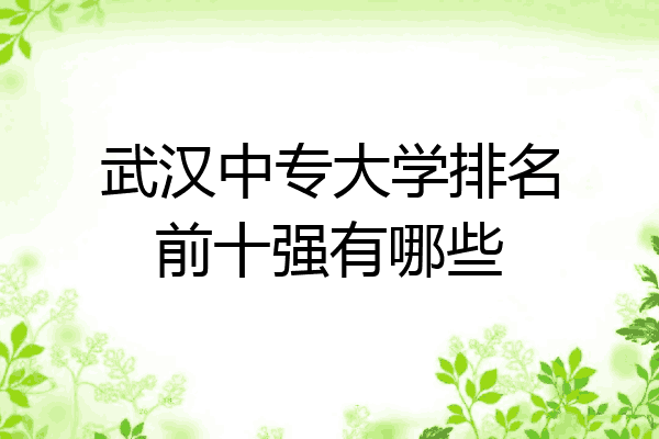 武汉中专大学排名前十强有哪些