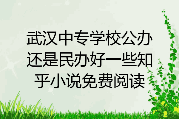 武汉中专学校公办还是民办好一些知乎小说免费阅读