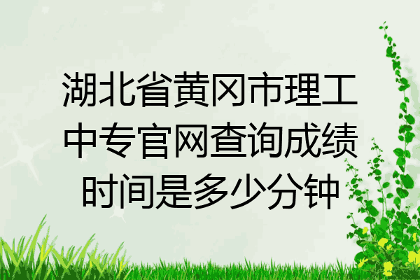 湖北省黄冈市理工中专官网查询成绩时间是多少分钟