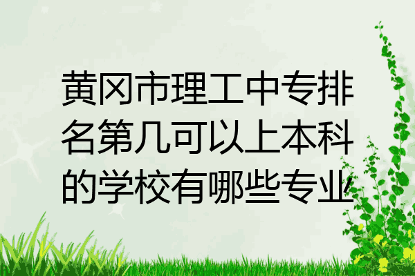 黄冈市理工中专排名第几可以上本科的学校有哪些专业