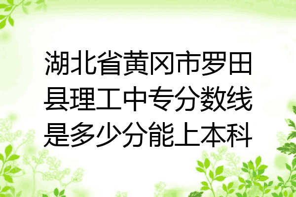湖北省黄冈市罗田县理工中专分数线是多少分能上本科