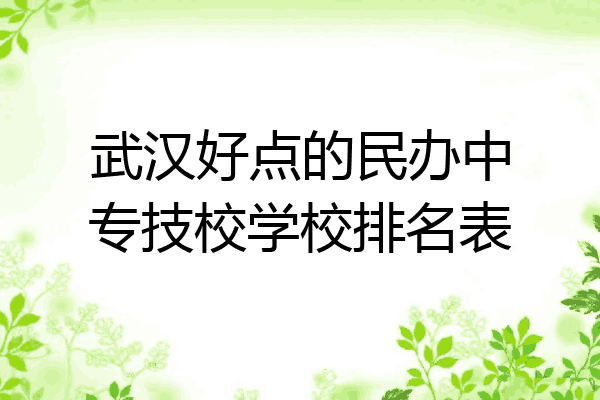 武汉好点的民办中专技校学校排名表