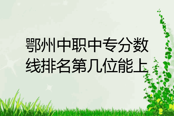 鄂州中职中专分数线排名第几位能上