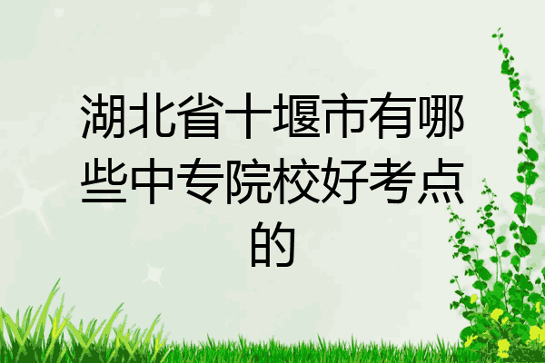 湖北省十堰市有哪些中专院校好考点的