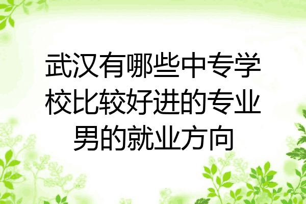 武汉有哪些中专学校比较好进的专业男的就业方向
