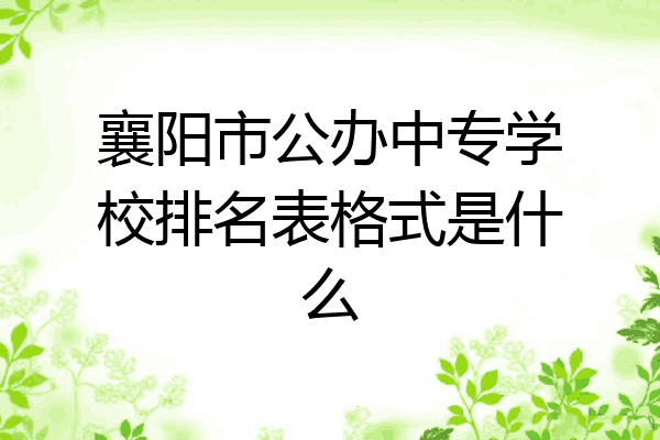 襄阳市公办中专学校排名表格式是什么