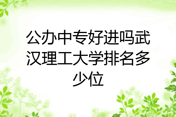 公办中专好进吗武汉理工大学排名多少位