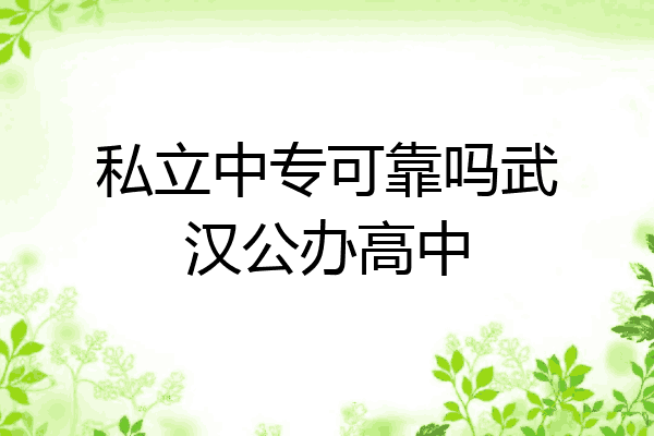 私立中专可靠吗武汉公办高中