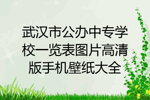 武汉市公办中专学校一览表图片高清版手机壁纸大全