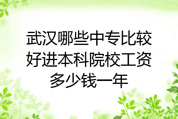 武汉哪些中专比较好进本科院校工资多少钱一年