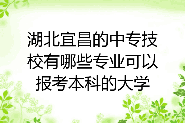 湖北宜昌的中专技校有哪些专业可以报考本科的大学