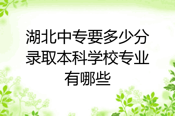 湖北中专要多少分录取本科学校专业有哪些
