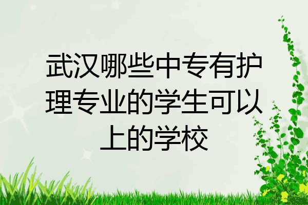武汉哪些中专有护理专业的学生可以上的学校