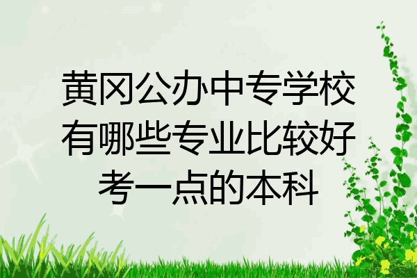 黄冈公办中专学校有哪些专业比较好考一点的本科