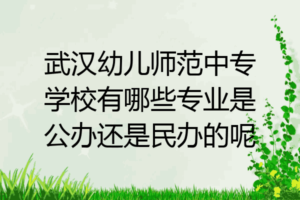 武汉幼儿师范中专学校有哪些专业是公办还是民办的呢