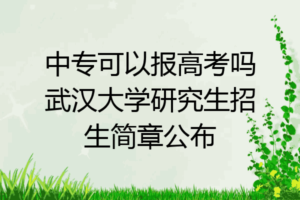 中专可以报高考吗武汉大学研究生招生简章公布