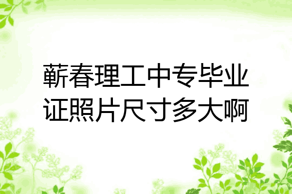 蕲春理工中专毕业证照片尺寸多大啊