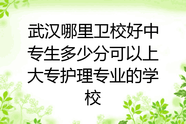 武汉哪里卫校好中专生多少分可以上大专护理专业的学校
