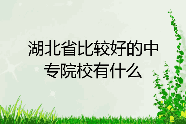 湖北省比较好的中专院校有什么