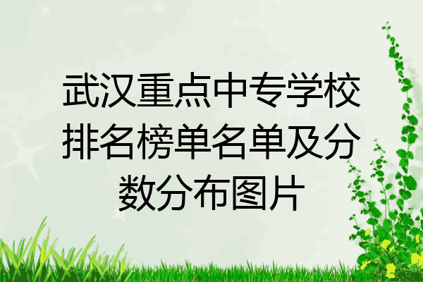 武汉重点中专学校排名榜单名单及分数分布图片