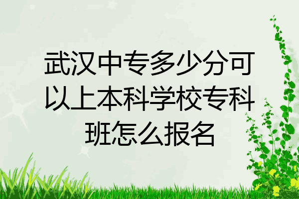武汉中专多少分可以上本科学校专科班怎么报名