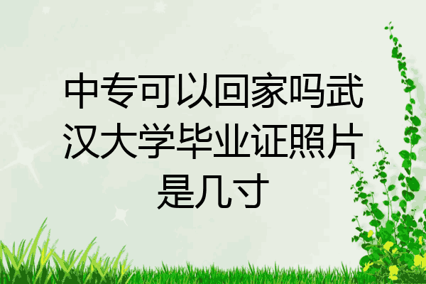 中专可以回家吗武汉大学毕业证照片是几寸
