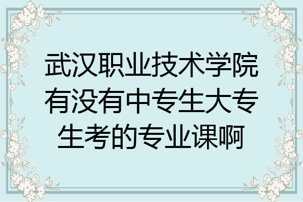 武汉职业技术学院有没有中专生大专生考的专业课啊