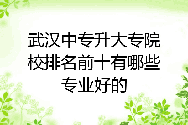 武汉中专升大专院校排名前十有哪些专业好的