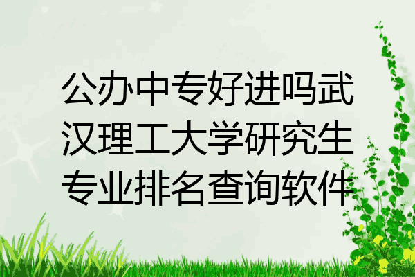 公办中专好进吗武汉理工大学研究生专业排名查询软件