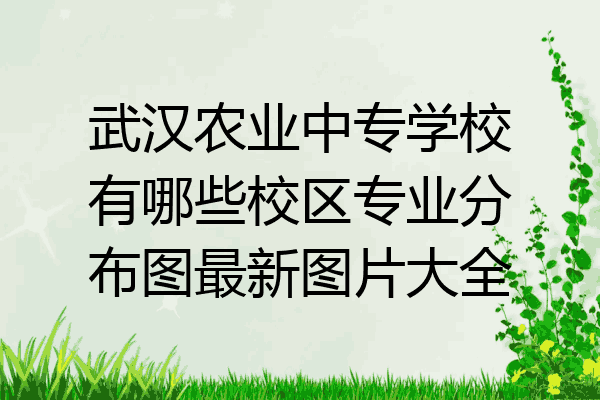 武汉农业中专学校有哪些校区专业分布图最新图片大全