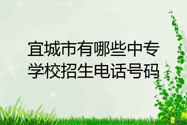宜城市有哪些中专学校招生电话号码