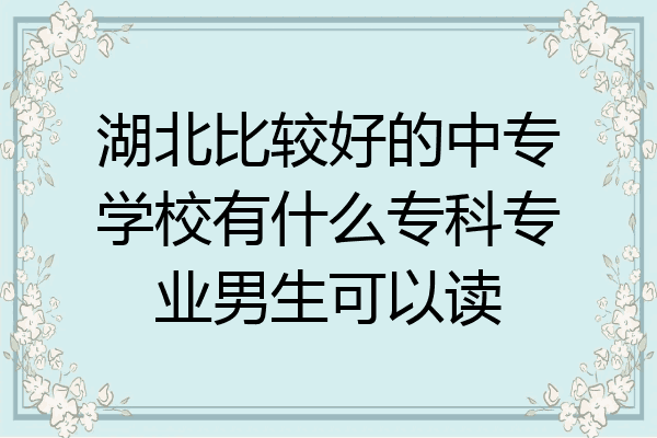 湖北比较好的中专学校有什么专科专业男生可以读
