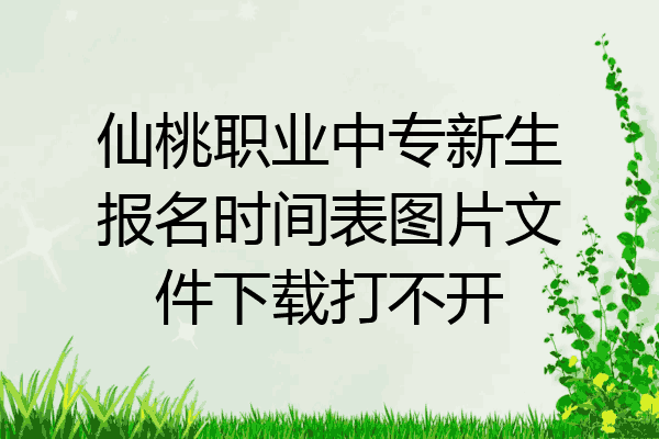 仙桃职业中专新生报名时间表图片文件下载打不开